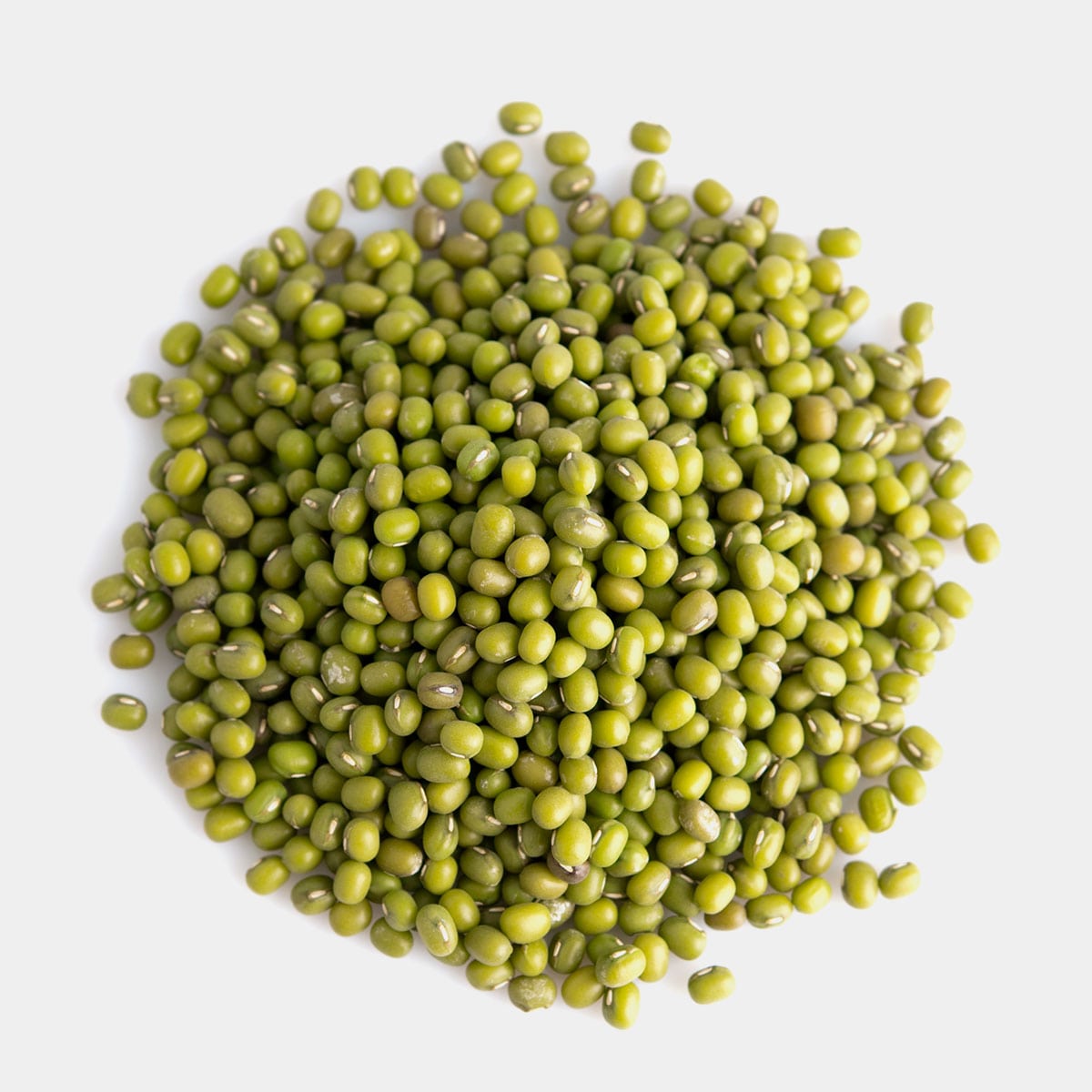 1 lb Mung Beans - Shealy Sorin Wellness