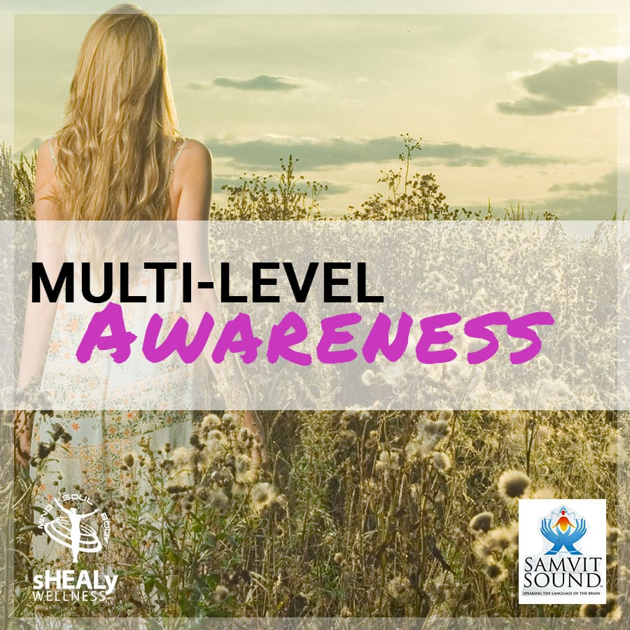 Multi - Level Awareness - Shealy Sorin Wellness
