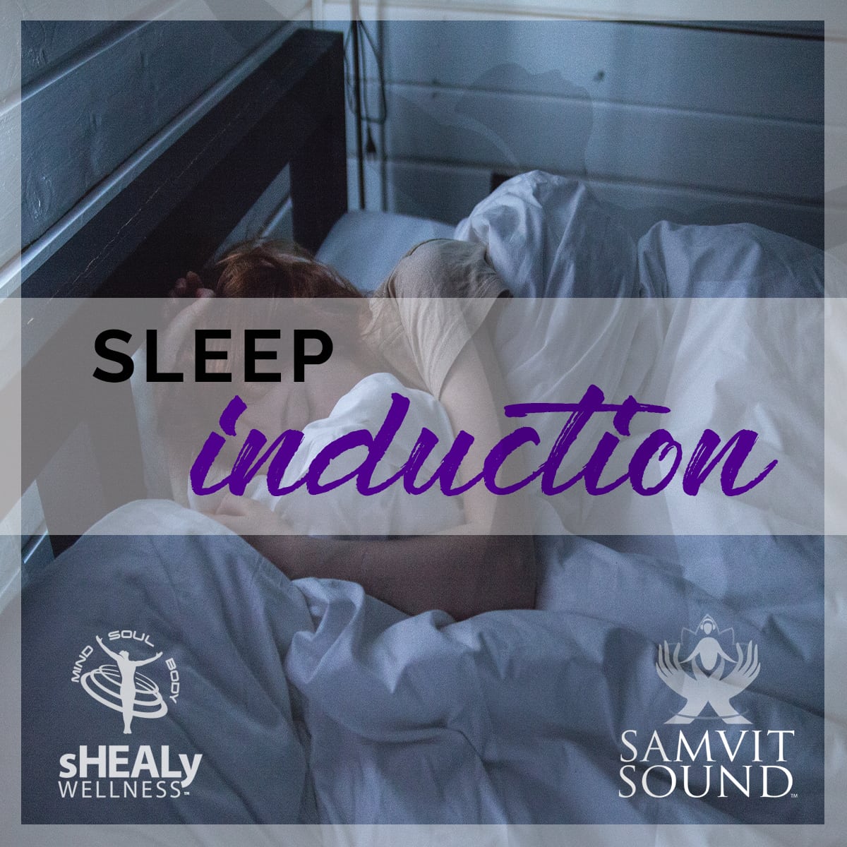 Shealy - Sorin Biogenics - Sleep Induction - Shealy Sorin Wellness