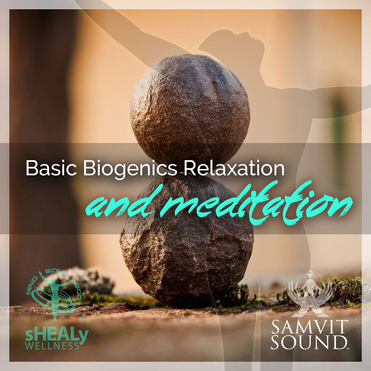 Basic Biogenics Relaxation and Meditation - Shealy Sorin Wellness
