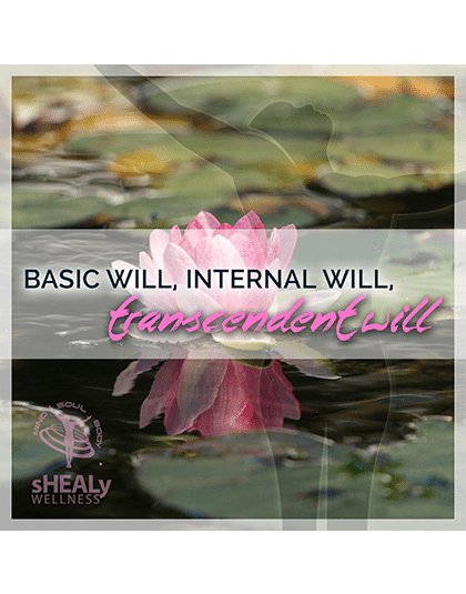 Basic Will, Internal Will, Transcendent Will - Shealy Sorin Wellness