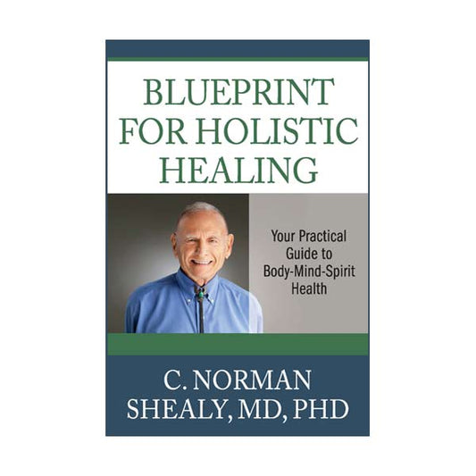 Blueprint For Holistic Healing - Your Practical Guide to Body - Mind - Spirit Health - Shealy Sorin Wellness