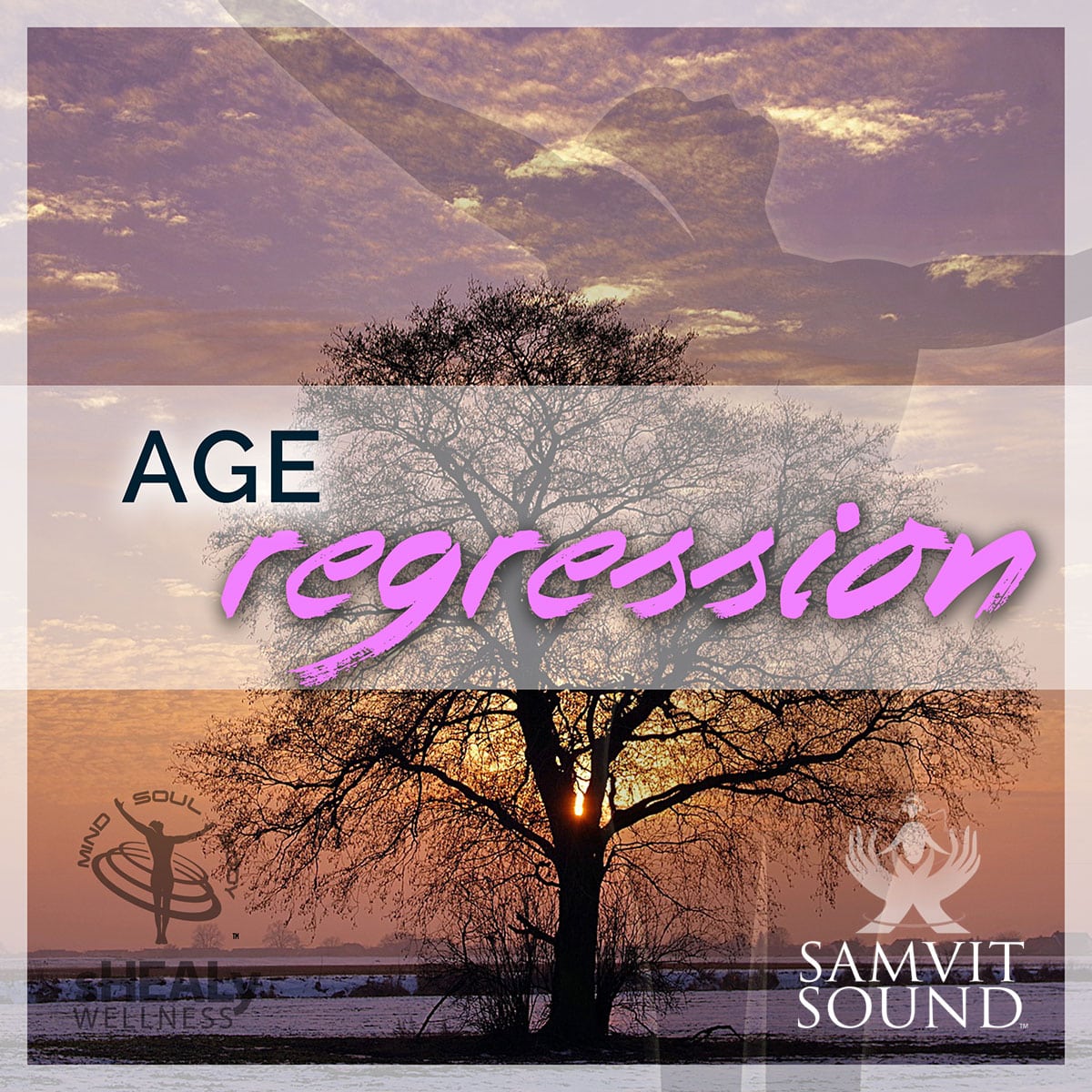 Shealy - Sorin Biogenics - Age Regression - Shealy Sorin Wellness