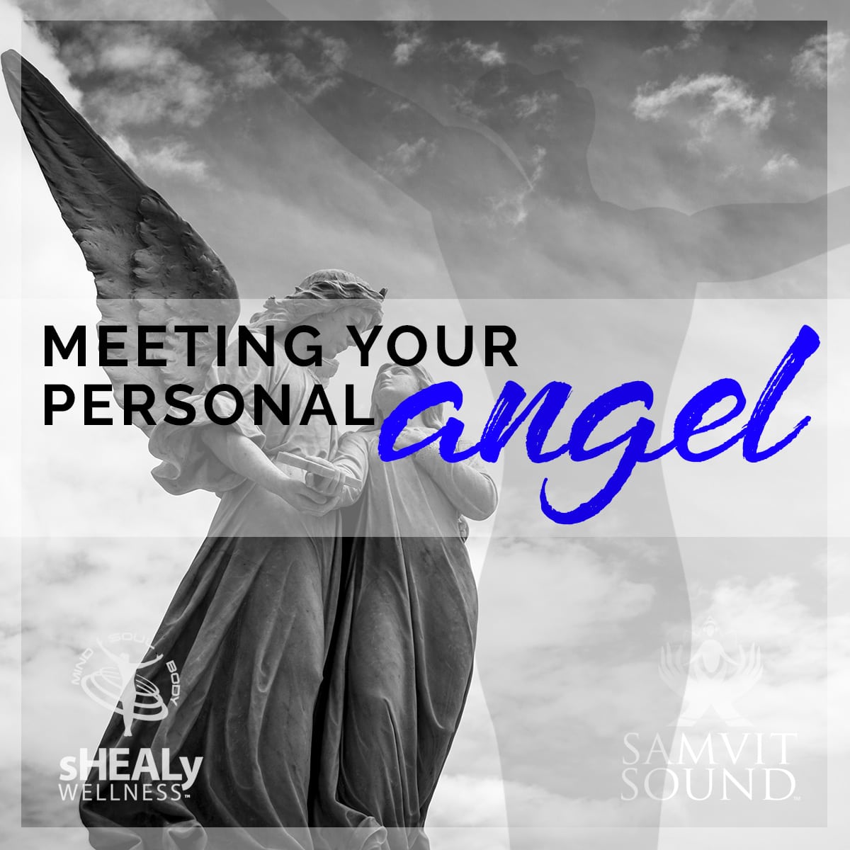 Shealy - Sorin Biogenics - Meeting Your Personal Angel - Shealy Sorin Wellness