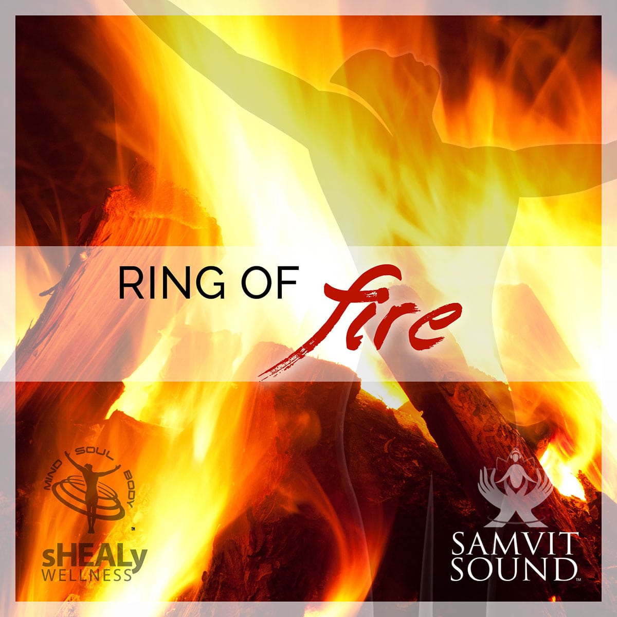 Shealy - Sorin Biogenics - Ring of Fire - Shealy Sorin Wellness