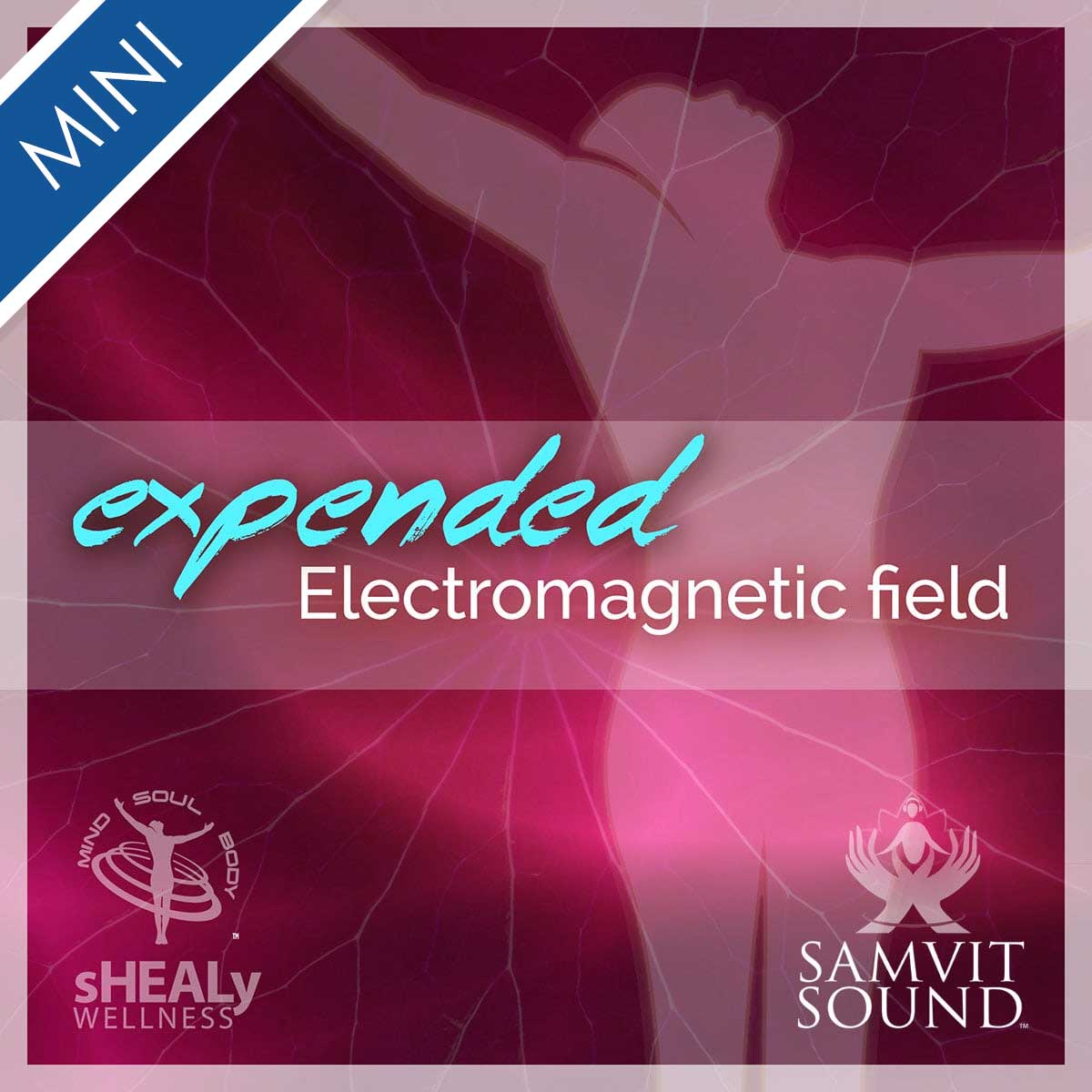 Shealy - Sorin Mini - Expanding Your Electro Magnetic Energy Field - Shealy Sorin Wellness