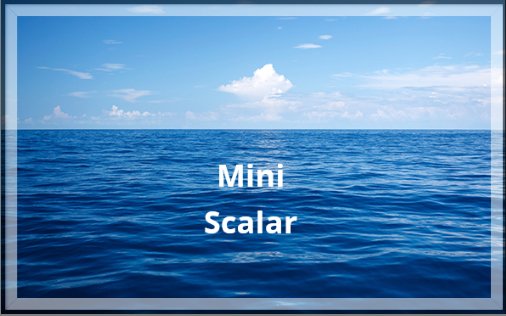 Shealy - Sorin Mini - Scalar - Shealy Sorin Wellness