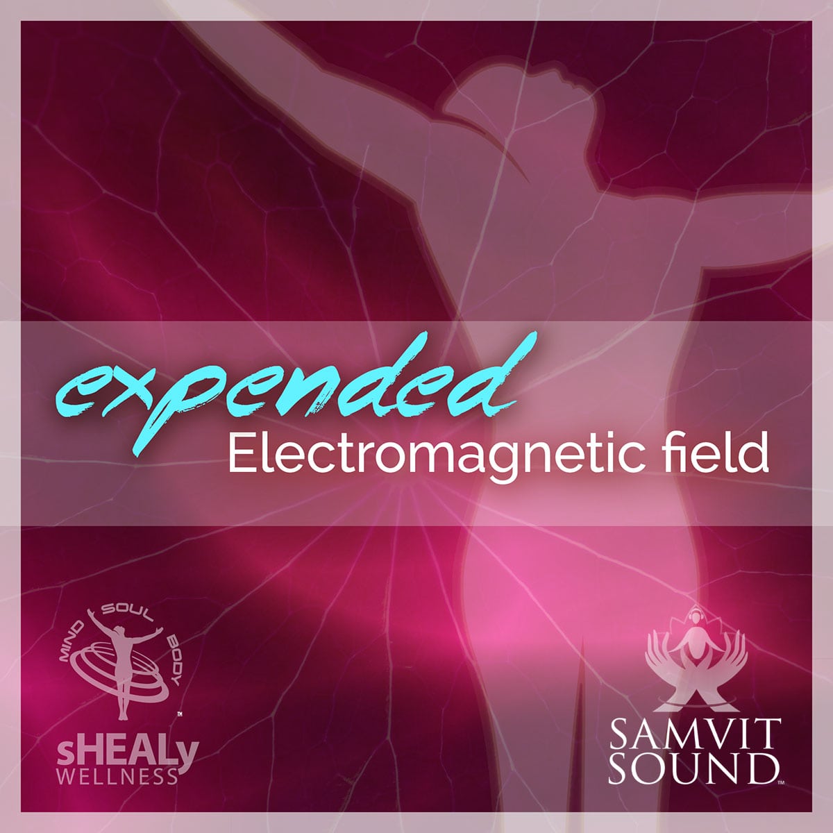 Expanded Electro Magnetic Field