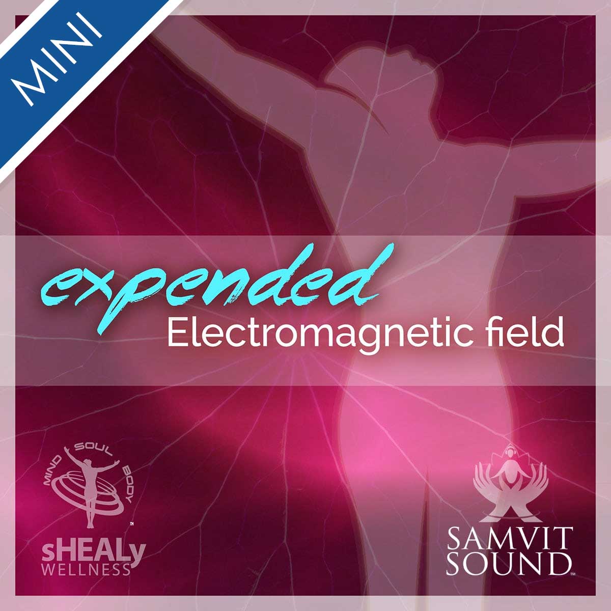 Shealy-Sorin Mini - Expanding Your Electro Magnetic Energy Field